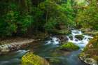 Savegre River in San Gerardo de Dota, San Jose Province, Costa Rica Art Print